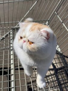 WhatsApp Image 2025-08-19 at 18.01.34 (1)