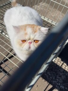 WhatsApp Image 2025-08-19 at 18.01.34