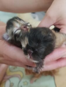 WhatsApp Image 2025-08-19 at 19.25.24