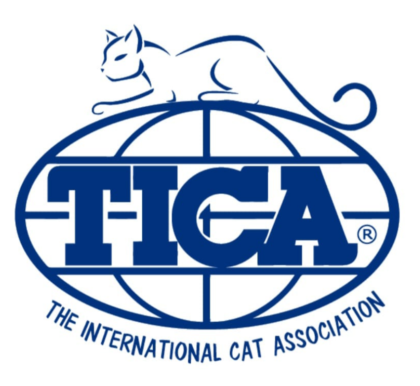 the international cat association tica